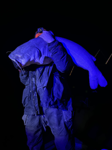 James River, your fishing escape!